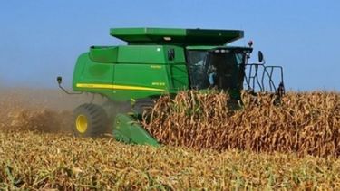 La recolección de maíz subió a 7,7 millones de toneladas