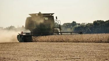 Cosecharon el 80% de los lotes de soja en Santa Fe