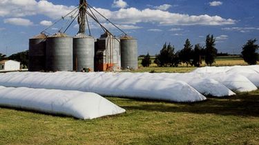 Dicen que el acopio en silo bolsa bloquea la fluctuación de precios de la soja durante el año