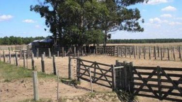 La actividad inmobiliaria rural logró un récord mensual histórico