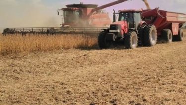 La cosecha de soja finalizó con rindes récord