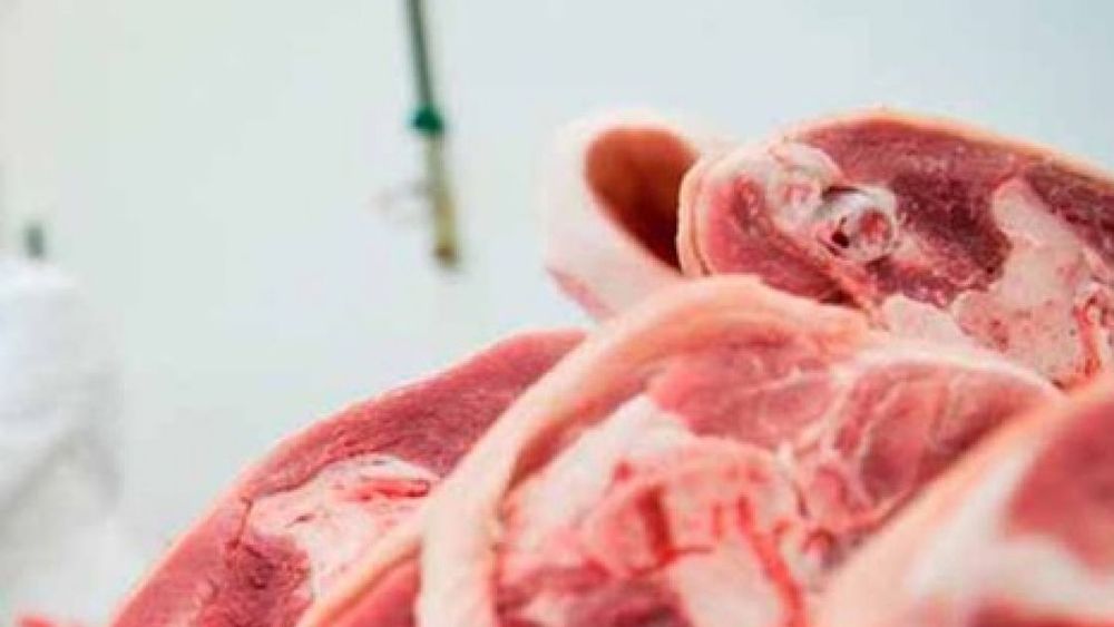 Las exportaciones de carne porcina subieron casi 35% en 2019