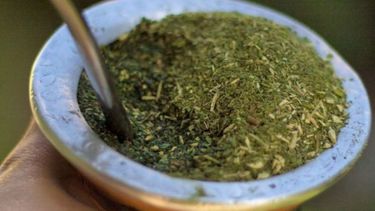 Definen el precio de la tonelada de yerba mate