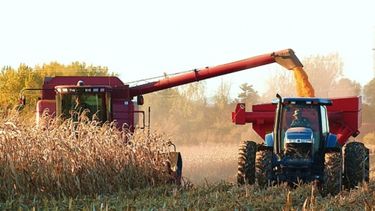 La cosecha de maíz avanza por las buenas condiciones del clima