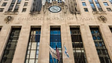 El precio de la soja subió casi 5 dólares en Chicago