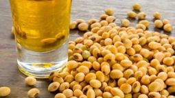 Aumentan las importaciones de aceite de soja a China