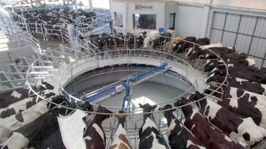 Proyectan más problemas para una alicaída lechería argentina