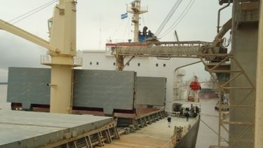 Rol del productor en la renta de exportación de trigo se elevó más del 150%