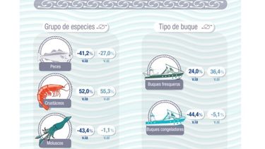 La industria pesquera avanzó más de 14% en el primer bimestre