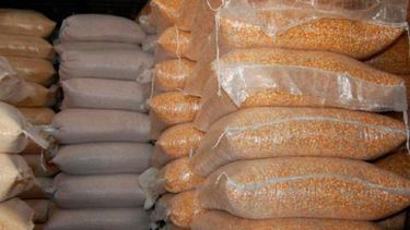 Récord de producción de maíz en Santa Fe