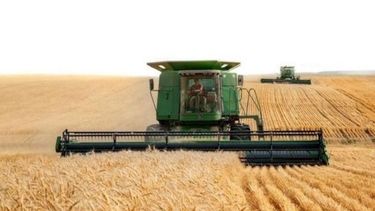 Otra interna gubernamental por la “renta inesperada” del campo