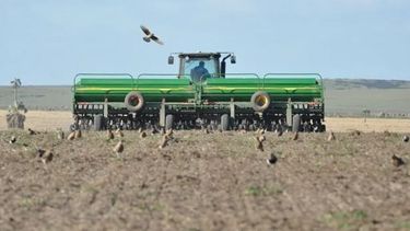 Reportan avances en la siembra de soja de la zona núcleo