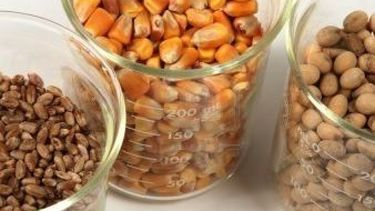 Días de aumentos para los granos en Chicago