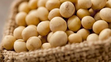 La soja cayó a su menor valor en una década