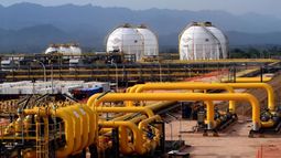 El rol de Vaca Muerta en la provisión energética.