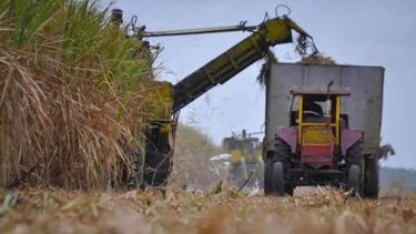 Interrumpieron la zafra azucarera en Tucumán por la falta de gasoil