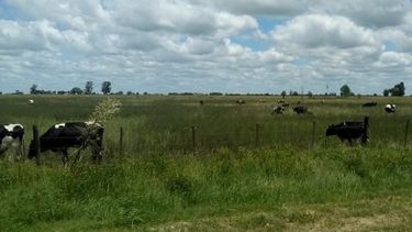 Antes de que siga lloviendo, a tomar decisiones