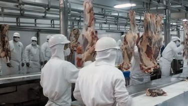 Subrayan que se perderían 500 mil empleos en el sector cárnico