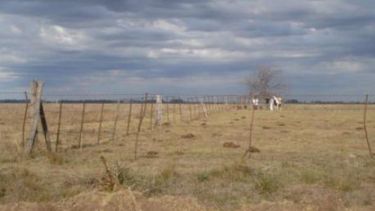 Afirman que hay una "parálisis casi total" en la compra y venta de campos
