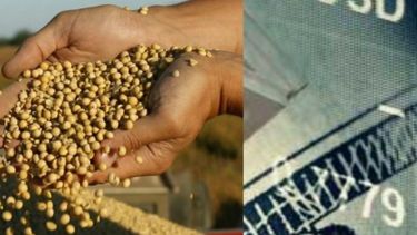 Inversiones poscosecha: ¿peso o dólar?