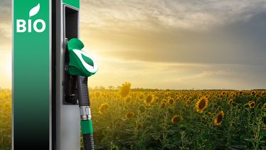 Aumento mayor a 6% en los precios de biocombustibles 