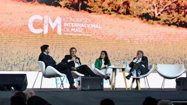 Bahillo: “Hay que repensar el esquema de retenciones”