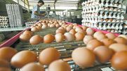 El envío de alimentos producidos a nivel nacional. El envío de alimentos producidos a nivel nacional.