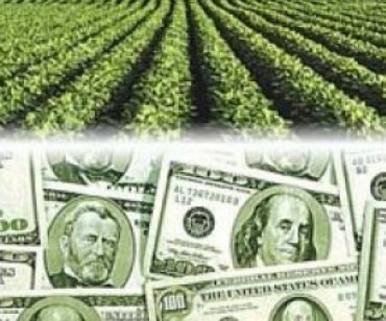 Estiman un aumento en el precio de la soja hacia fin de año