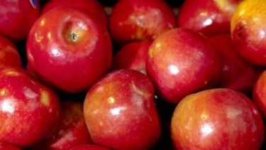 Piden que se levante la suspensión del ingreso de frutas argentinas a Brasil