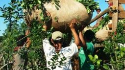 El Gobierno autoriza al INYM subir la Tasa de Inspección y Fiscalización un 25%