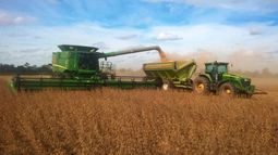 Recortan la estimación de cosecha de soja a 43 millones de toneladas