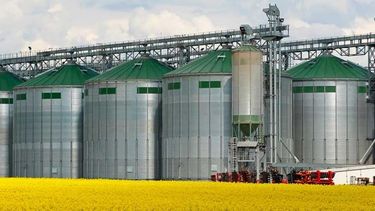 Estiman que la producción de biodiesel caerá un 30%