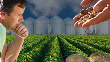 Identifican que los tributos que debe pagar el agro subieron un 80% anual