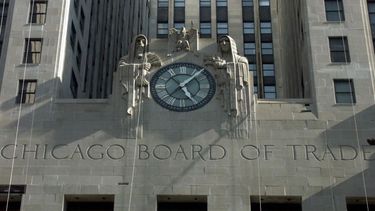 El precio de la soja cayó más de 20 dólares en Chicago