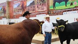 Argentina dijo presente en evento del Secretariado Mundial Angus