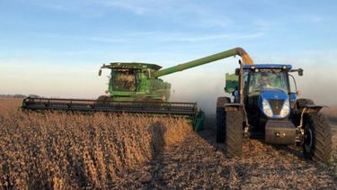 Ocho de cada diez productores prevén vender parte de su cosecha en esta campaña