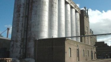 Molino Cañuelas muda su producción de Tucumán a Salta