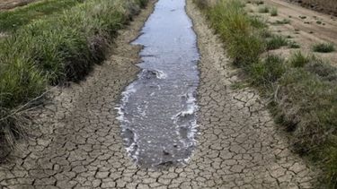 Casi el 55% del territorio nacional sufre por la sequía
