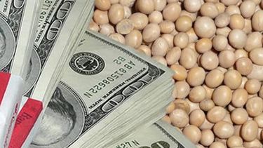 La agroexportación volvió a reportar números negativos