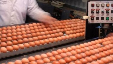 Estados Unidos abre las puertas a los huevos argentinos