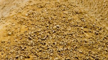 Insisten con una reducción sectorial de las retenciones sojeras