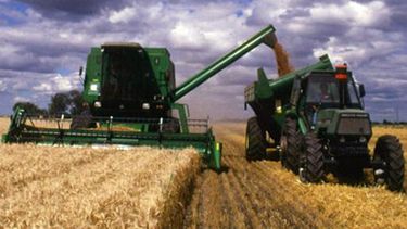Afirman que "es un buen año para sembrar trigo con tecnología"