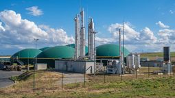 El plazo de pago del bioetanol no podrá exceder, en ningún caso, los 30 días corridos a contar desde la fecha de la factura correspondiente.