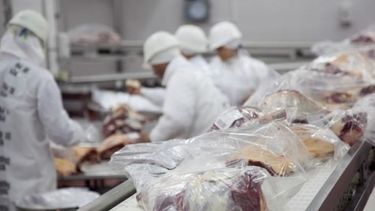 Empiezan a recuperarse las exportaciones de carne