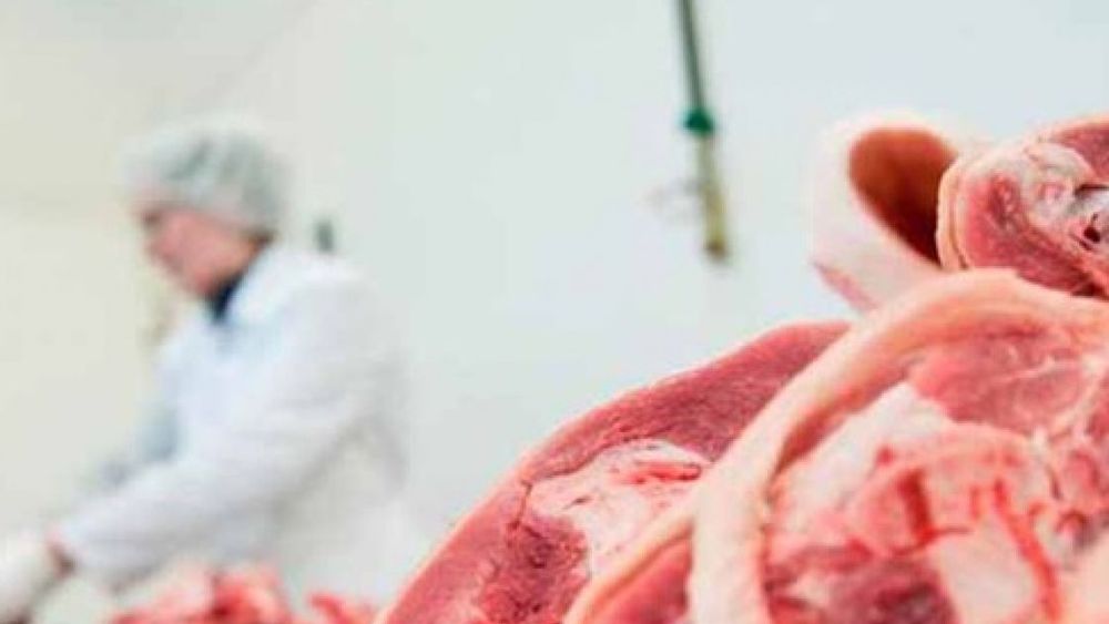 "Las exportaciones abren un mar de posibilidades para el negocio del cerdo"