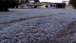 Río Negro prorrogó la emergencia agropecuaria por heladas y granizo