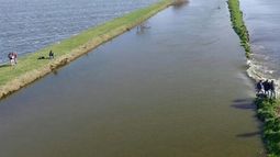 Cuatro millones de hectáreas productivas están bajo agua en "La Provincia"