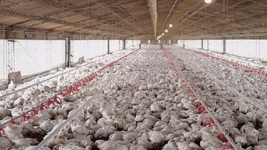 Cresta Roja volvió a operar con plantilla laboral completa