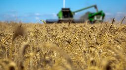 La coyuntura complicada del agro local.