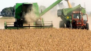 Con los cambios en retenciones, la soja deberá pagar 28,5%